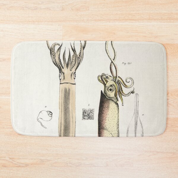 Item preview, Antique mollusk print - Loligo brevipinna (Atlantic brief squid) designed and sold by Gardenlibrary.