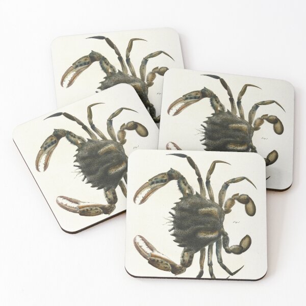 Item preview, Antique crustacean print - Platyonichus ocellatus (Lady crab) designed and sold by Gardenlibrary.