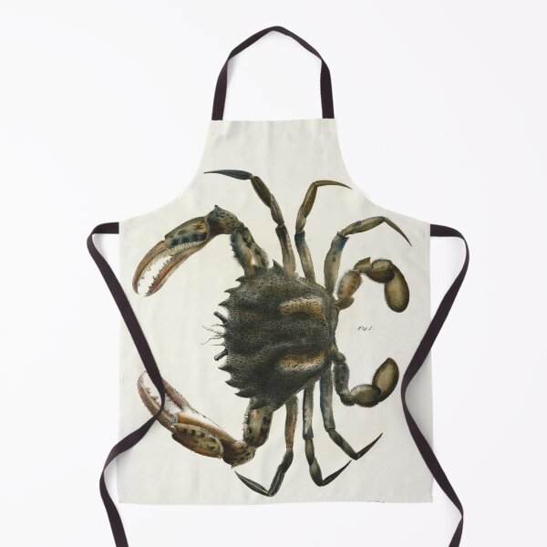 Item preview, Antique crustacean print - Platyonichus ocellatus (Lady crab) designed and sold by Gardenlibrary.