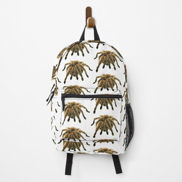 Item preview, Spider / Tarantula - Halloween / Scary / Pets / Creepy Crawlies - Stickers designed and sold by laptop-sticker.