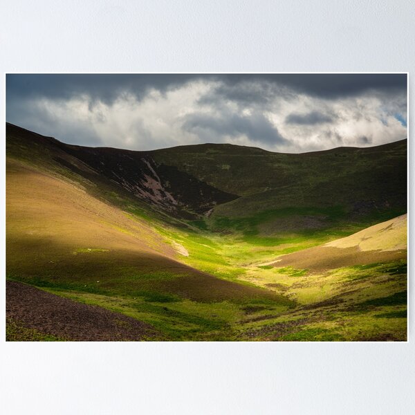 Item preview, Dramatic Sky and Light on  a Hillside With Sheep Grazing Along the John Buchan Way in the Scottish Borders designed and sold by marthadoom.