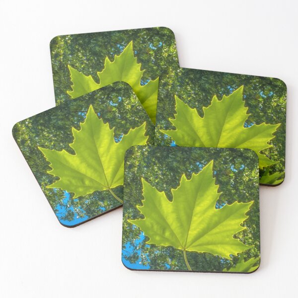 Item preview, The Maple Leaf in Victory Park designed and sold by Steven Jodoin.