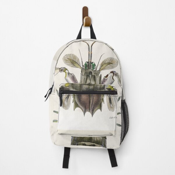 Item preview, Antique crustacean print - Squilla empusa (The mantis shrimp) designed and sold by Gardenlibrary.