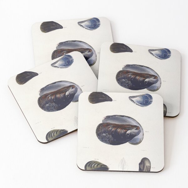 Item preview, Antique mollusk print - mytilus pellucidus (The Blue mussel) designed and sold by Gardenlibrary.