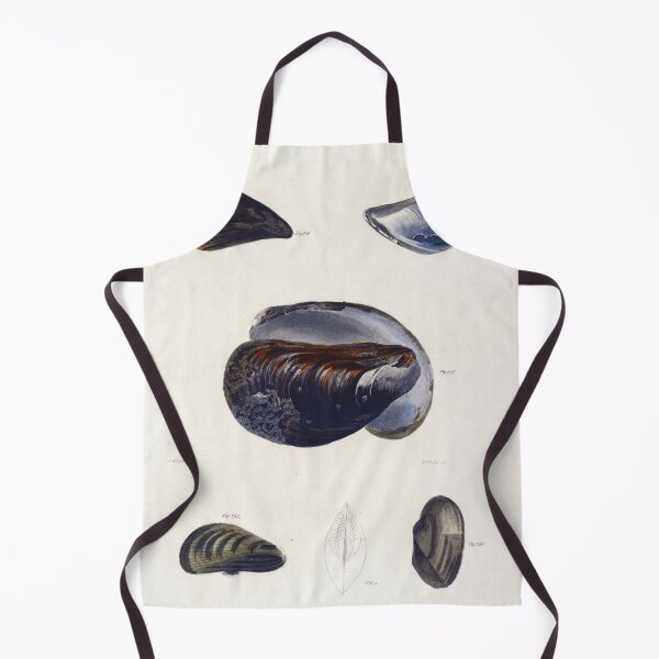 Item preview, Antique mollusk print - mytilus pellucidus (The Blue mussel) designed and sold by Gardenlibrary.