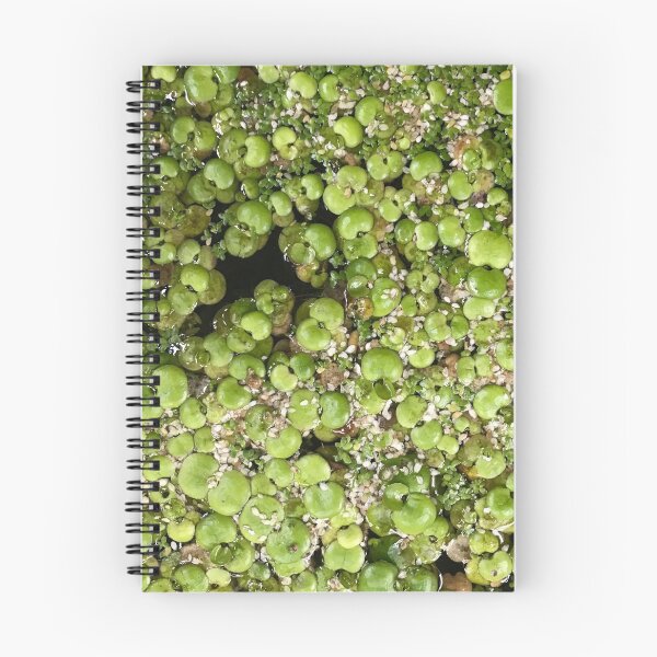Item preview, Water Moss Pad Photo designed and sold by Niftjie.