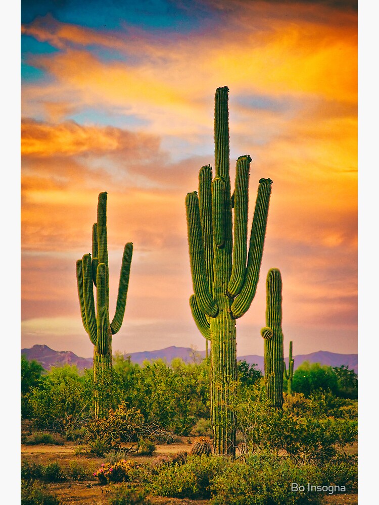 Arizona Life by mrbo