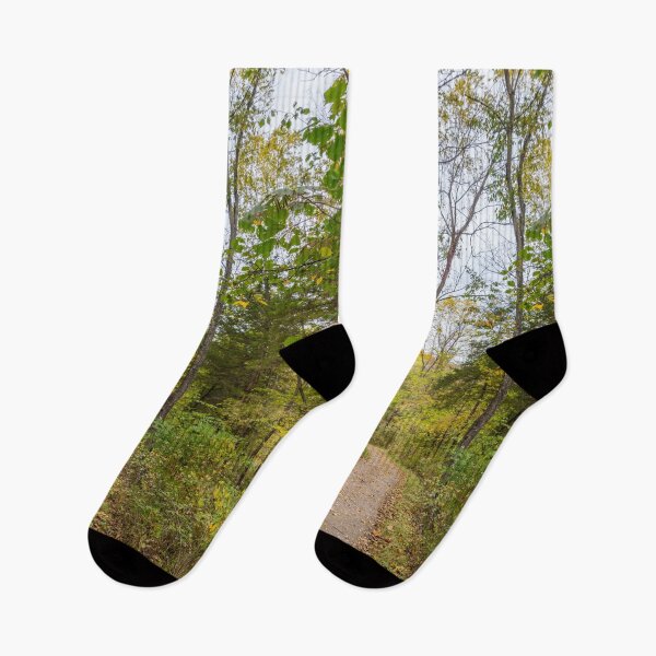 Item preview, An Autumn Runge Walk designed and sold by mljdwhite.
