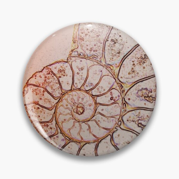 Item preview, Ammonite designed and sold by MagsWilliamson.