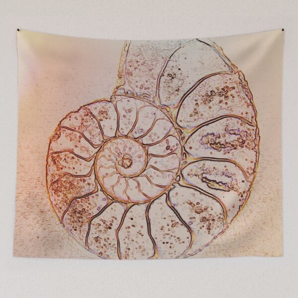 Item preview, Ammonite designed and sold by MagsWilliamson.
