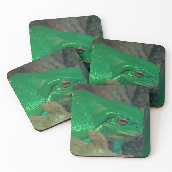 Item preview, Green Tree Frog at the Melbourne Zoo designed and sold by Steven Jodoin.