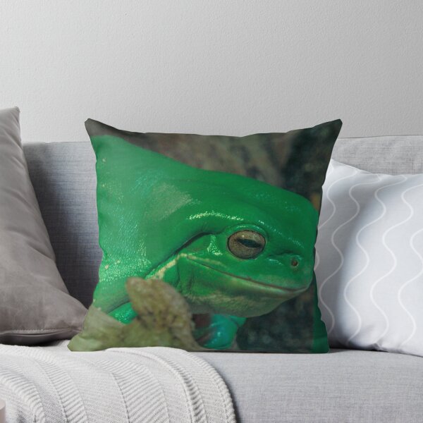 Item preview, Green Tree Frog at the Melbourne Zoo designed and sold by Steven Jodoin.