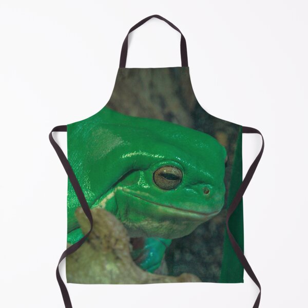 Item preview, Green Tree Frog at the Melbourne Zoo designed and sold by Steven Jodoin.