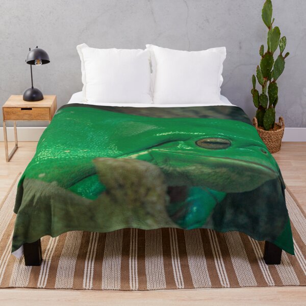Item preview, Green Tree Frog at the Melbourne Zoo designed and sold by Steven Jodoin.