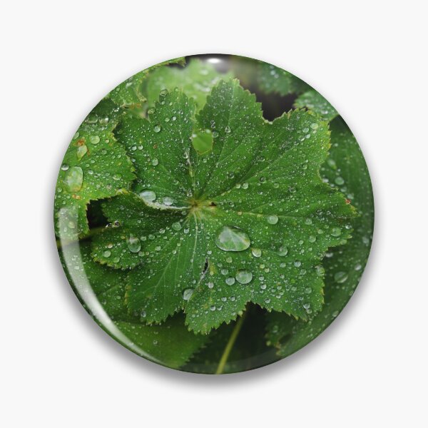 Item preview, Drops on leaves designed and sold by Lupappdesigns.