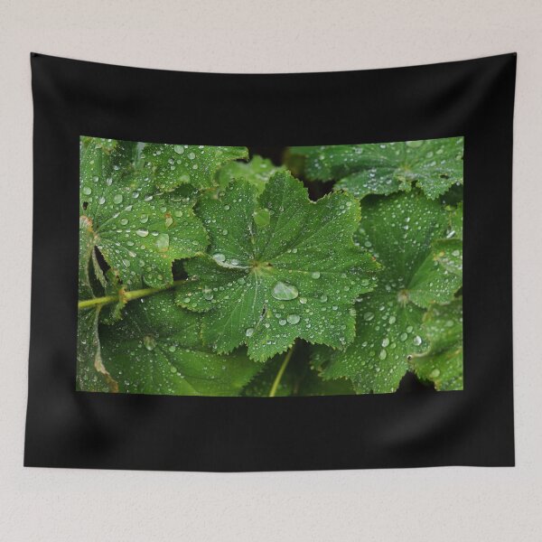 Item preview, Drops on leaves designed and sold by Lupappdesigns.