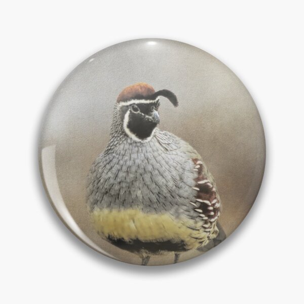 Item preview, Handsome Male Gambel's Quail designed and sold by Elisabeth Lucas.