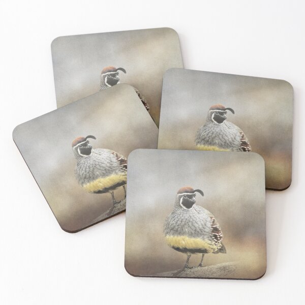 Item preview, Handsome Male Gambel's Quail designed and sold by Elisabeth Lucas.