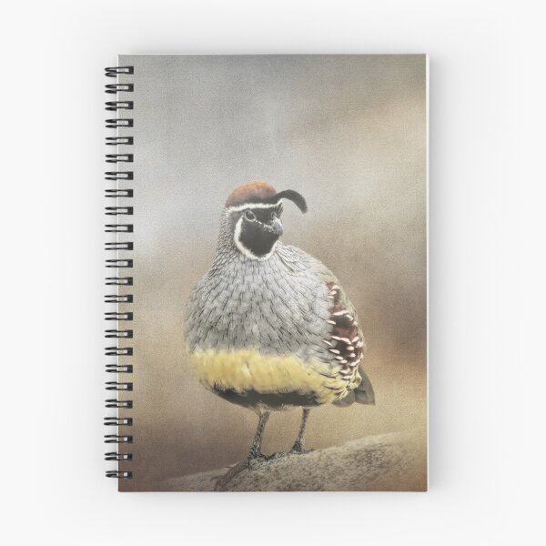 Item preview, Handsome Male Gambel's Quail designed and sold by Elisabeth Lucas.