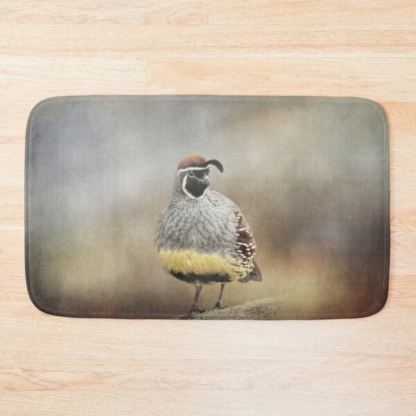 Item preview, Handsome Male Gambel's Quail designed and sold by Elisabeth Lucas.