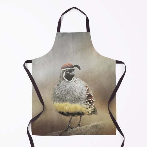 Item preview, Handsome Male Gambel's Quail designed and sold by Elisabeth Lucas.