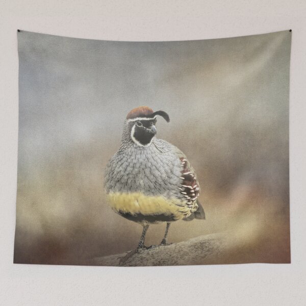 Item preview, Handsome Male Gambel's Quail designed and sold by Elisabeth Lucas.