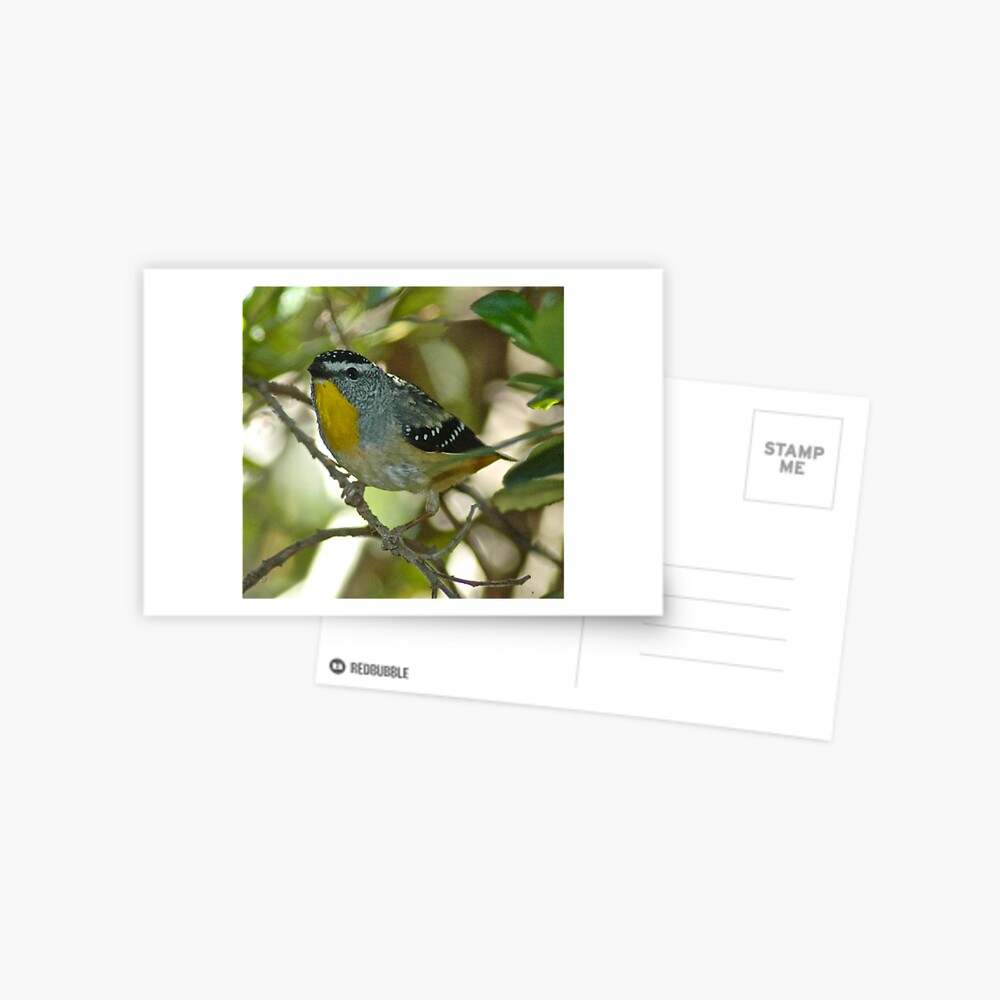 Item preview, Postcard designed and sold by tasmanianartist.
