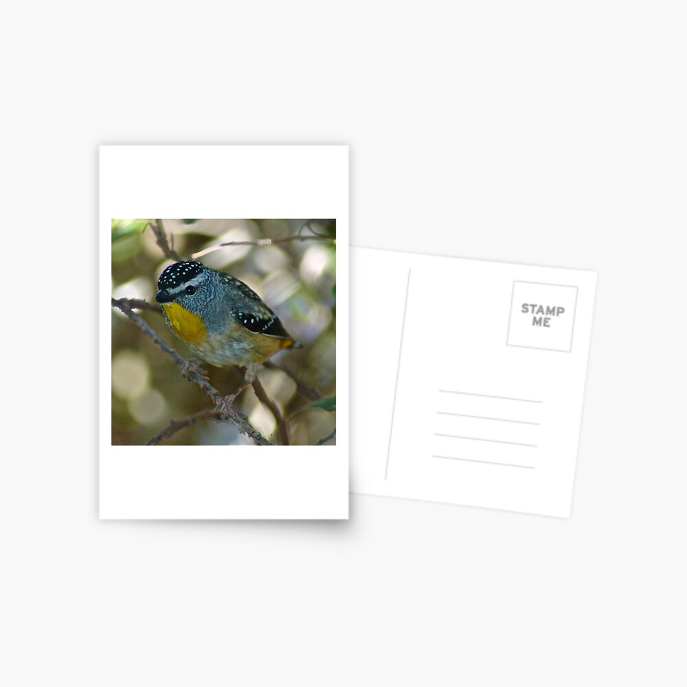 Item preview, Postcard designed and sold by tasmanianartist.