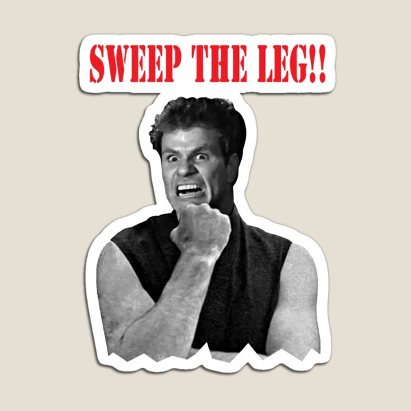 Sweep the leg Magnet