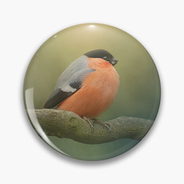 Item preview, Eurasian Bullfinch designed and sold by Elisabeth Lucas.