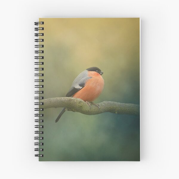 Item preview, Eurasian Bullfinch designed and sold by Elisabeth Lucas.