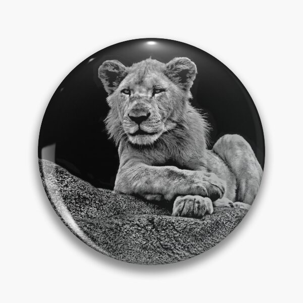 Item preview, Proud designed and sold by Image11.