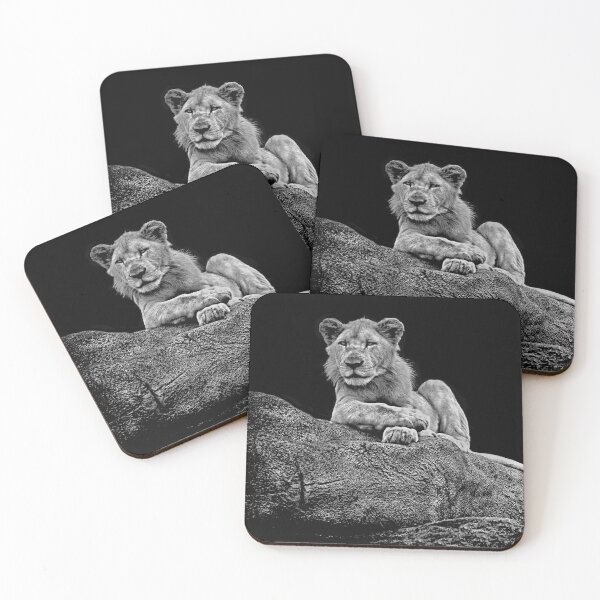 Item preview, Proud designed and sold by Image11.