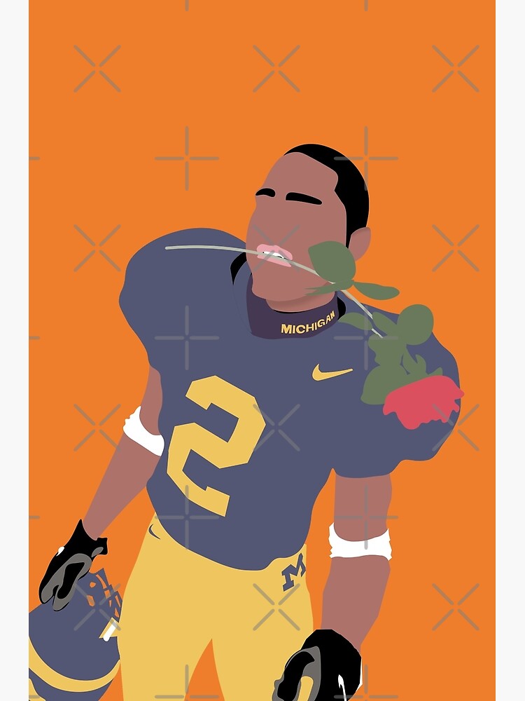 Charles Woodson Art Print