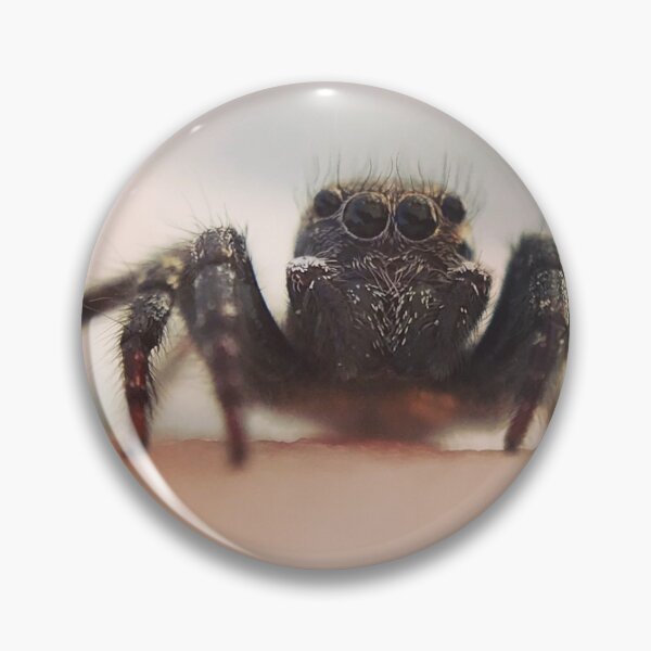 Item preview, Spider Eyelashes For Days designed and sold by Sk8Legged.