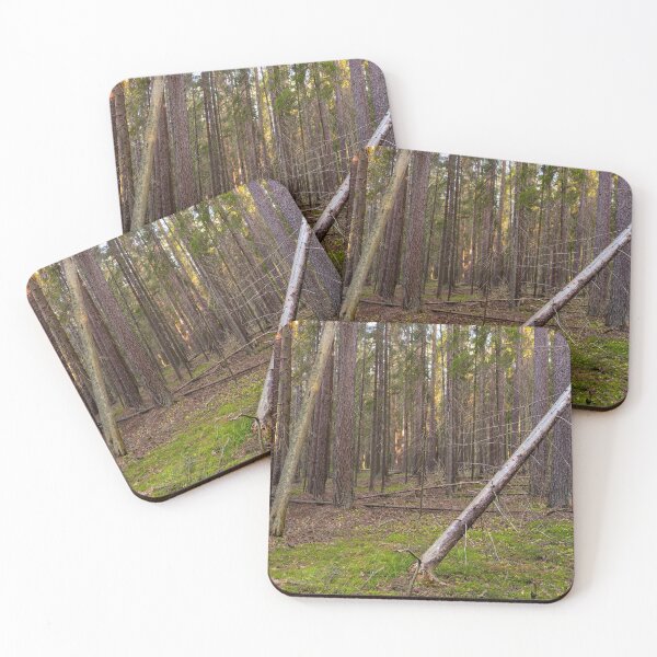 Item preview, Dawn in a dry coniferous forest designed and sold by yarvin13.