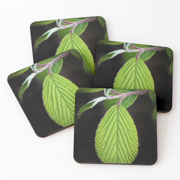 Item preview, Green Tongue designed and sold by Philippe Sainte-Laudy.