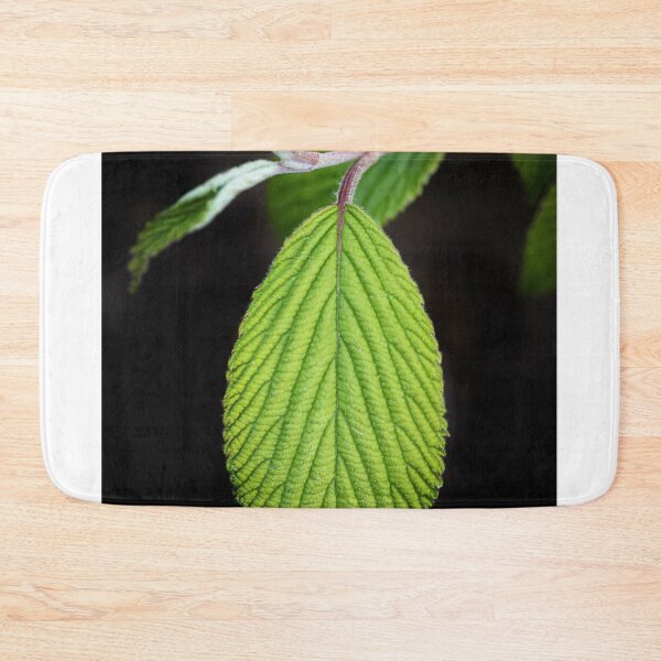Item preview, Lengua verde designed and sold by Philippe Sainte-Laudy.