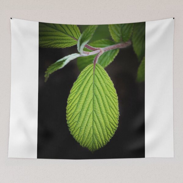 Item preview, Green Tongue designed and sold by Philippe Sainte-Laudy.