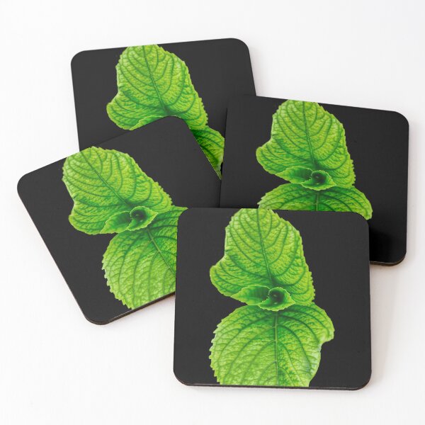 Item preview, Reslitic Fresh Mint Leaf With Black Backgrounds designed and sold by StheticStop.