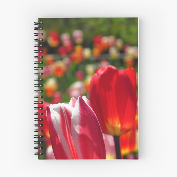 Item preview, Tulip soldiers designed and sold by MarianBendeth.