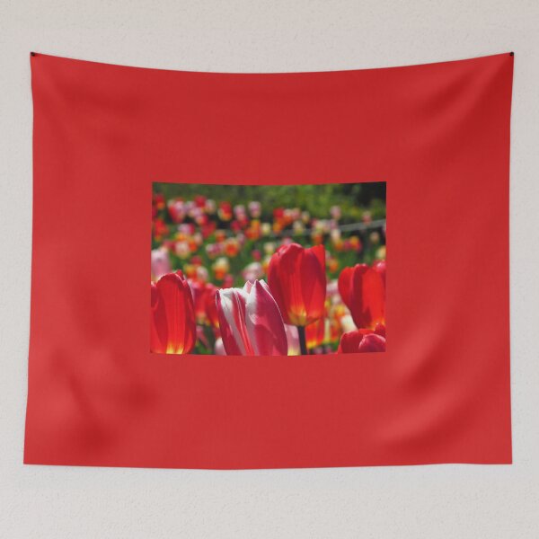 Item preview, Tulip soldiers designed and sold by MarianBendeth.