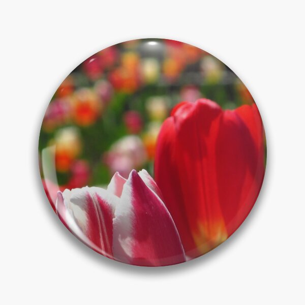 Item preview, Tulip soldiers designed and sold by MarianBendeth.