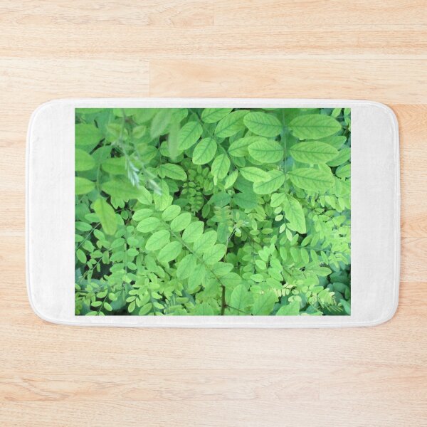 Item preview, Lush acacia therapy designed and sold by crystalline.