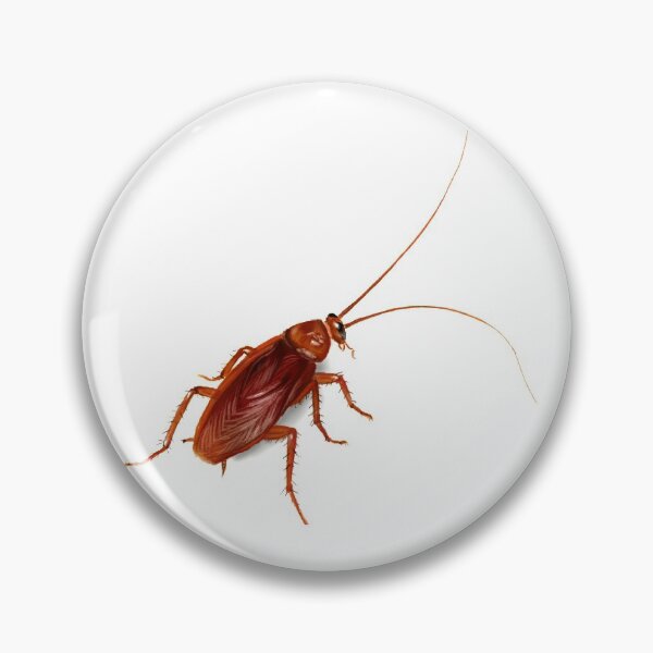Item preview, Cockroach for Halloween designed and sold by Michelle Ng.