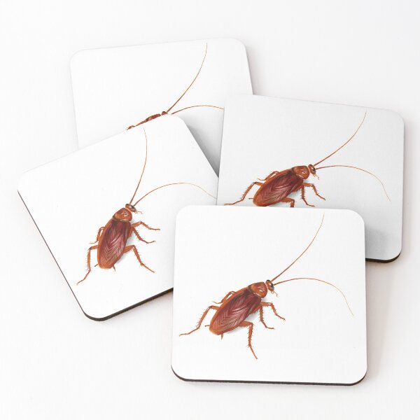 Item preview, Cockroach for Halloween designed and sold by Michelle Ng.