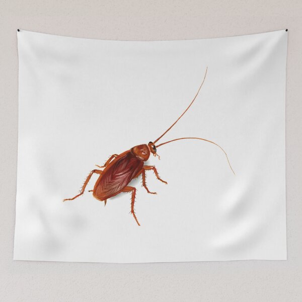 Item preview, Cockroach for Halloween designed and sold by Michelle Ng.