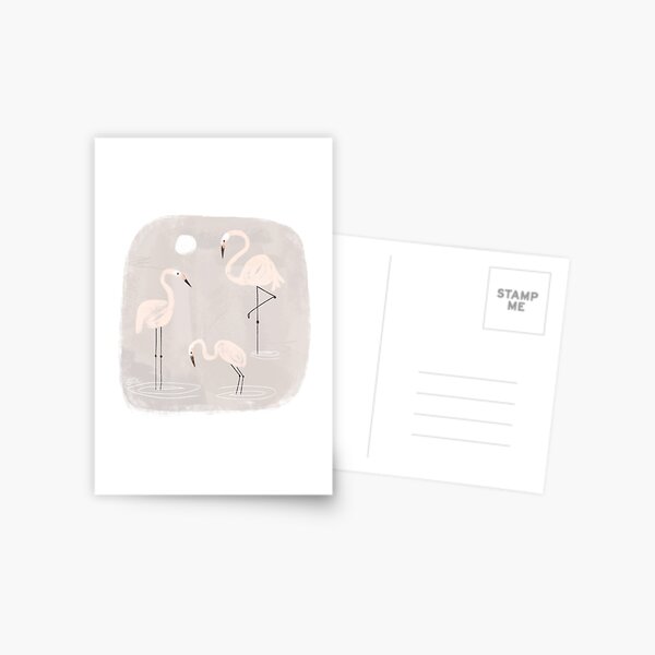 Three Flamingos Postcard