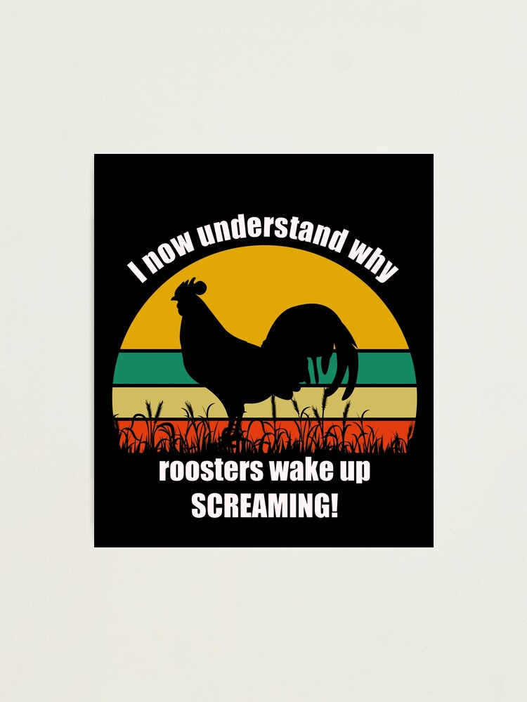 I Now Understand Why Roosters Wake Up Screaming