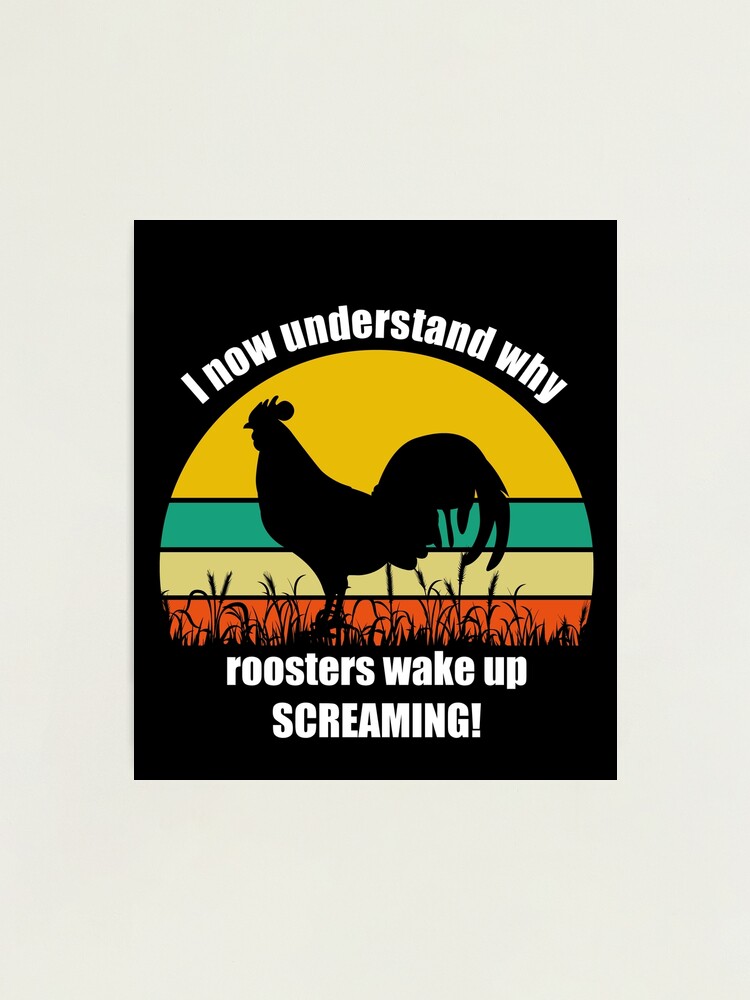 I Now Understand Why Roosters Wake Up Screaming